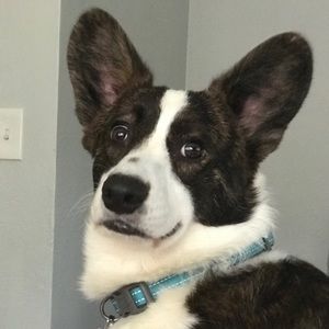 Meet your Posher, Marni